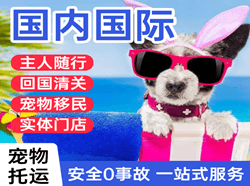 珠海航空快递国际宠物托运 【国